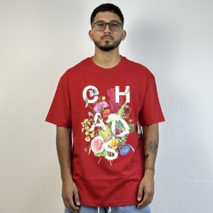 CAMISETA DISORDER BEAUTY IN CHAOS RED