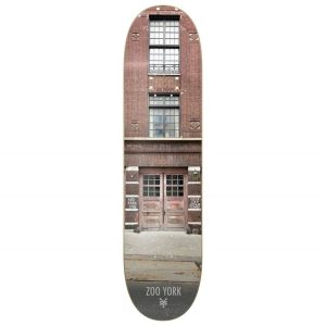 SHAPE ZOO YORK MAPLE 8.0